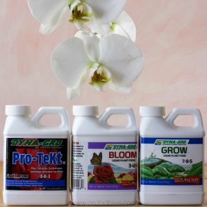 fertilize orchids