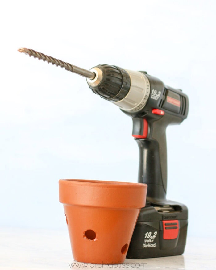 Review: Terracotta Pots – Should You Use Them for Potting Orchids ...