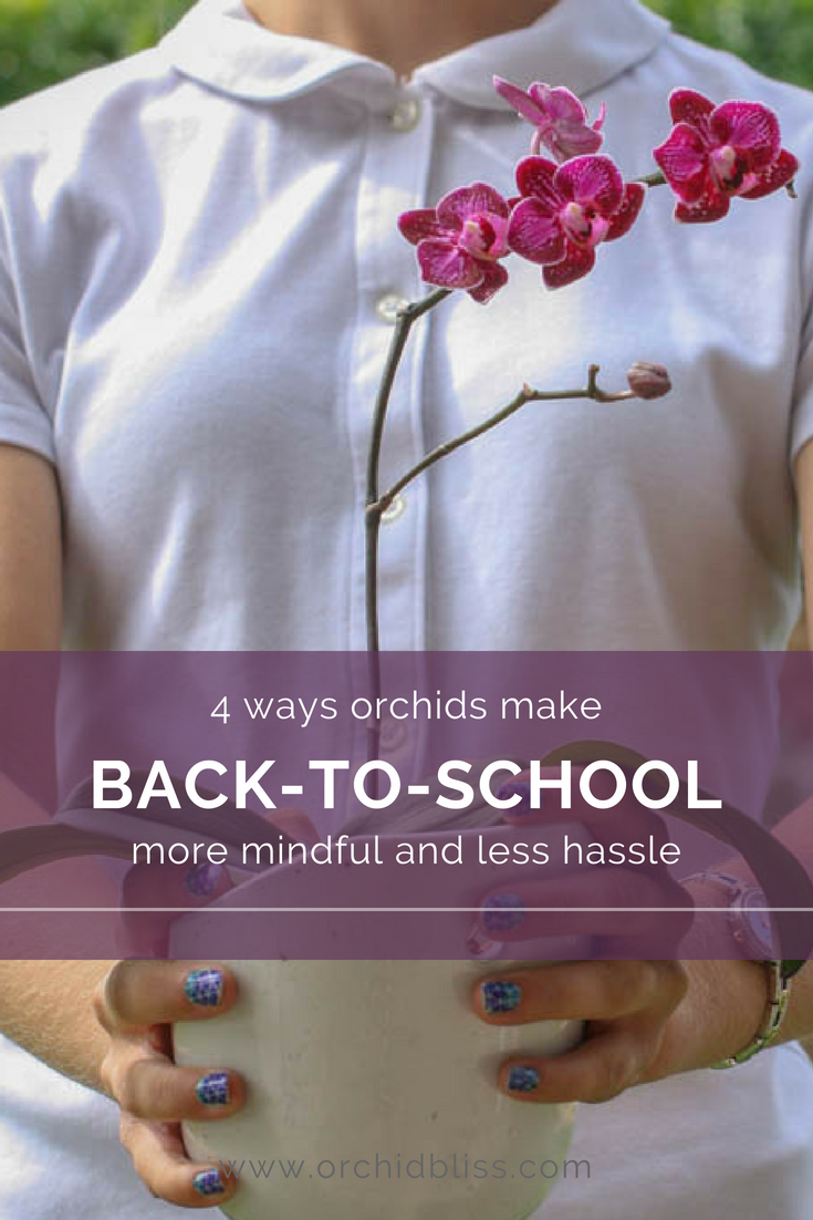 back to school - orchids