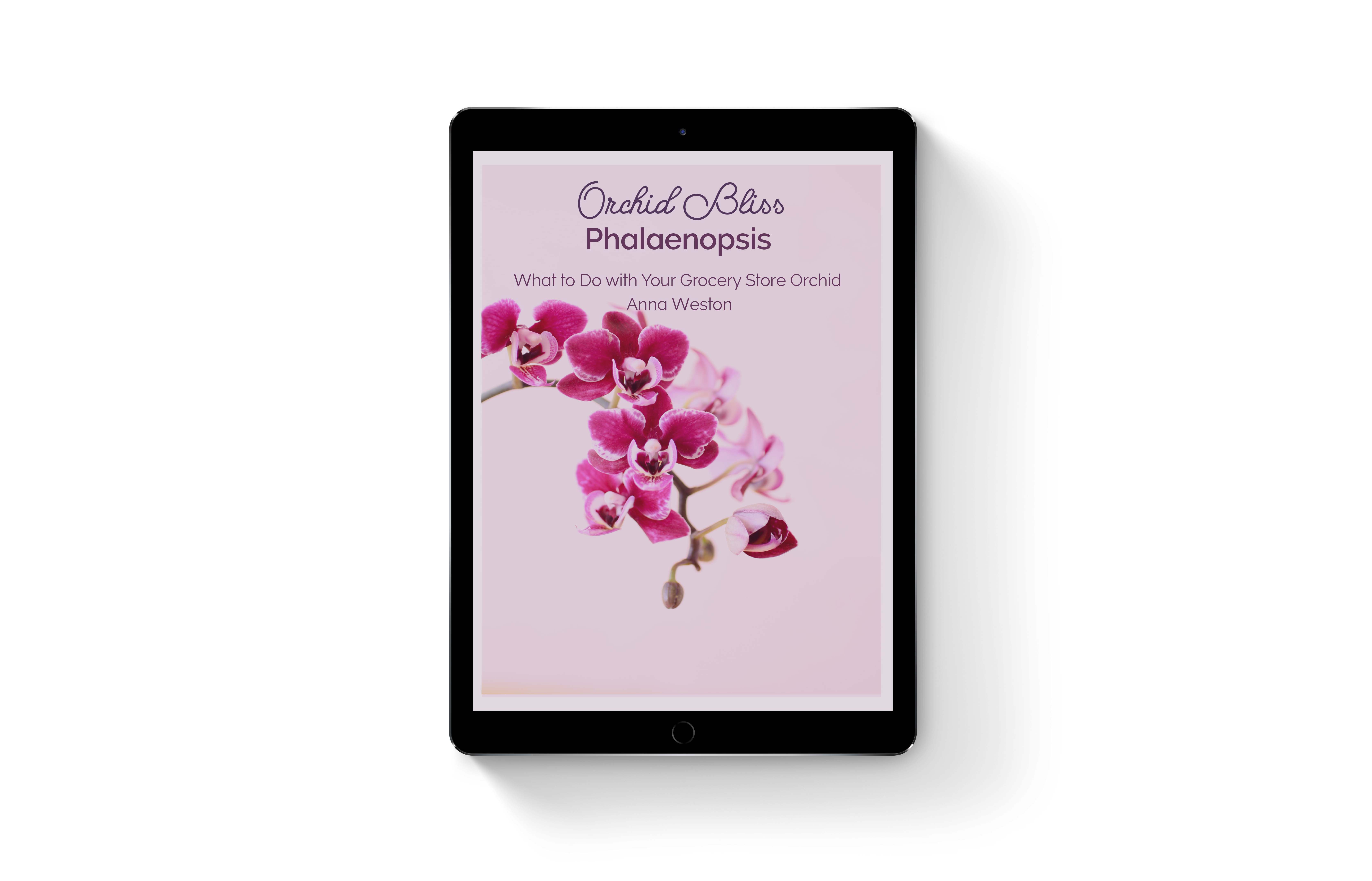 What to Do with Your Grocery Store Orchid Ebook