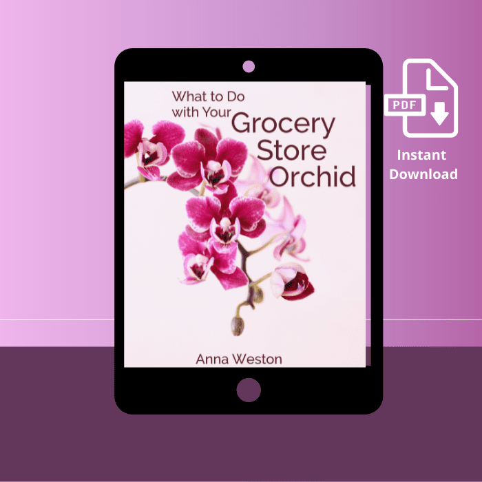 phal cover ebook