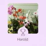 Harold - orchids - beyond expectations