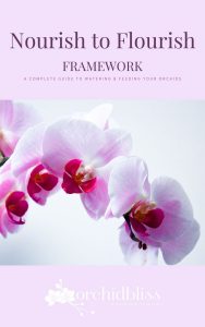 nourish to flourish framework cover