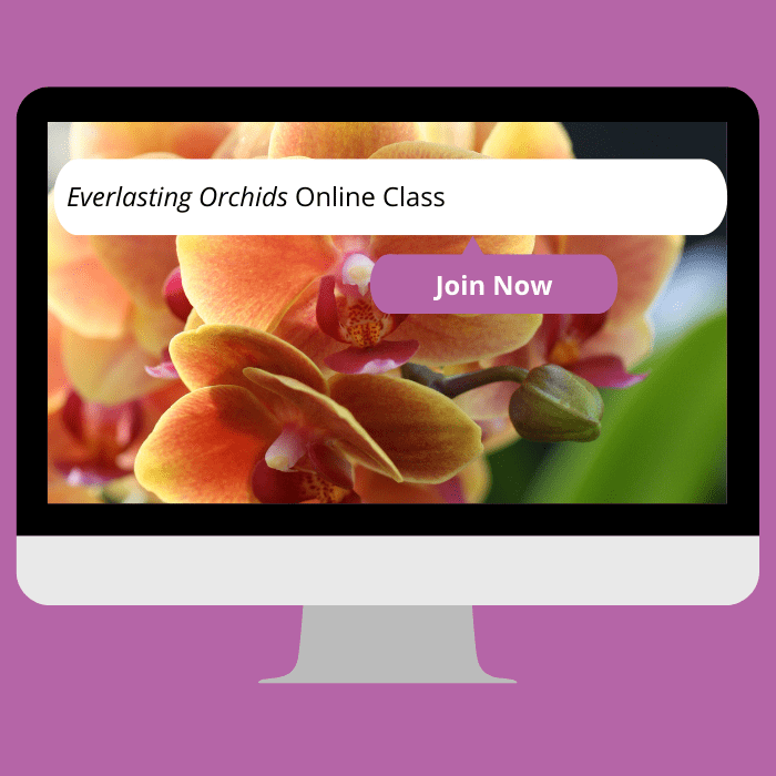 everlasting orchids - online class