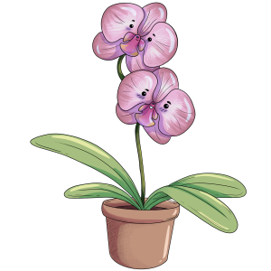 orchid illustration - personified
