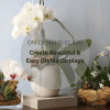 Create Beautiful & Easy Orchid Displays Class