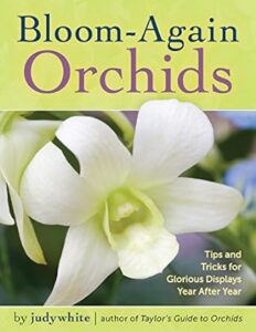 book - bloom again orchids